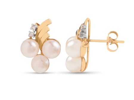 Angelina Earrings For Discount