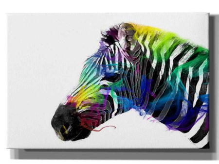 Zebra  by Karen Smith, Canvas Wall Art Online Hot Sale